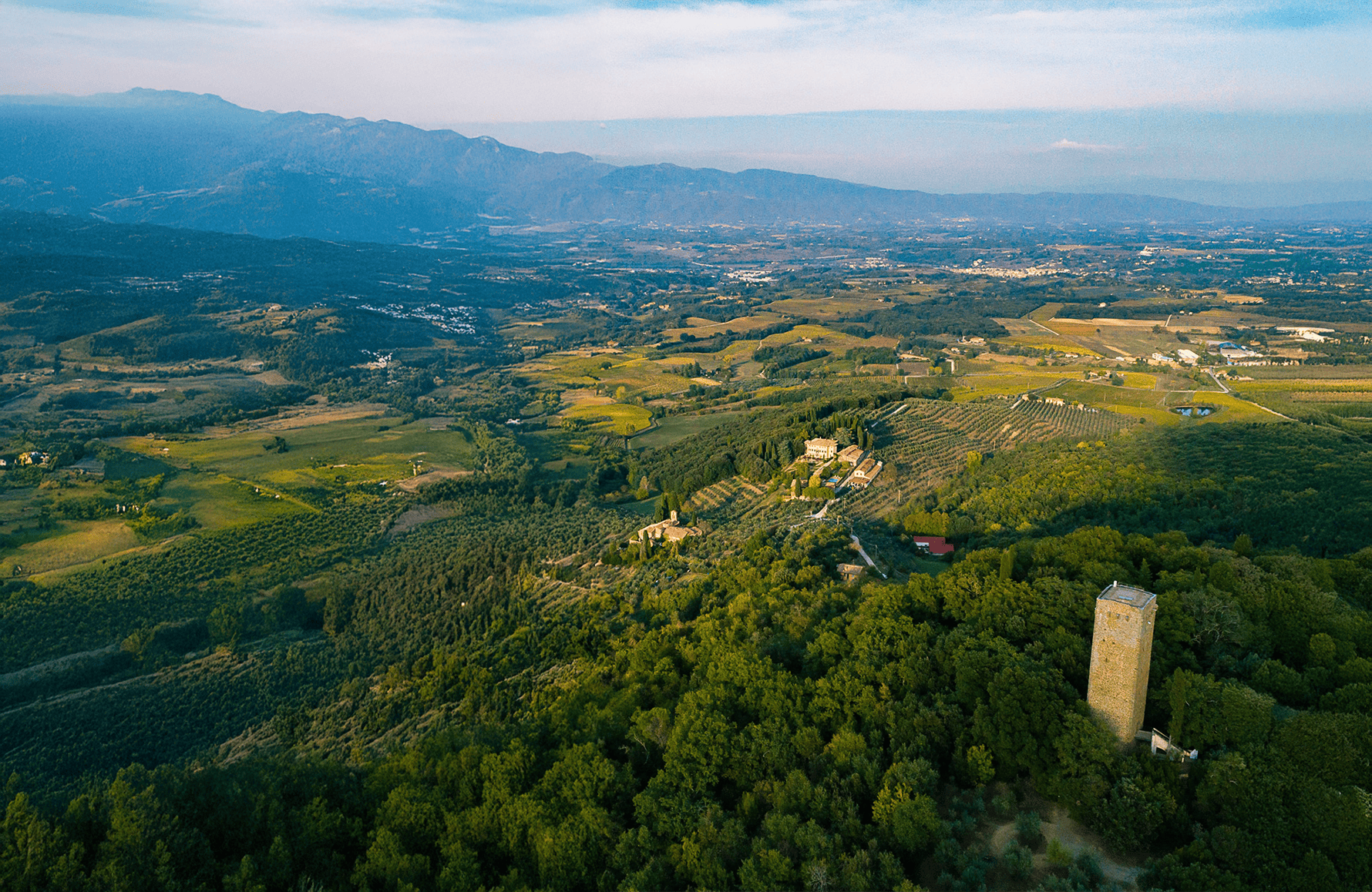 Vins Petrolo - Italie