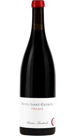 Domaine Antoine Lienhardt - 2021 - Nuits-Saint-Georges
