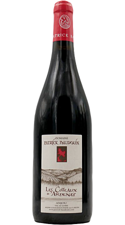Domaine Patrick Baudouin - Les Coteaux d'Ardenay 2017 - Anjou